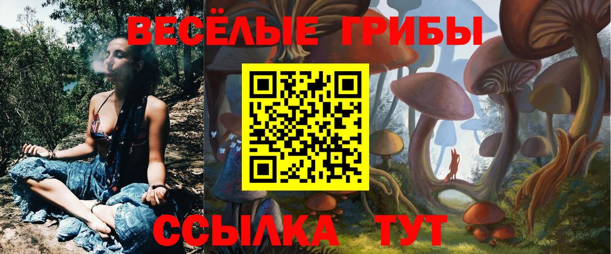 Барнаул  Галлюциногенные грибы GOLDEN TEACHER  Вход с VPN  Псилоцибиновые грибы прущие грибы 