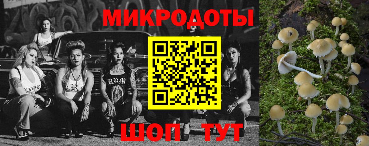 Галлюциногенные грибы мицелий Барнаул